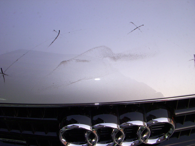 090615_kdcbundang133151(3).jpg